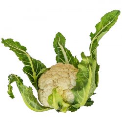 Couve-flor - Sem Agrotóxico - Unidade
