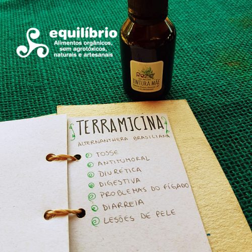 Tintura medicinal - Farmácia Viva - Terramicina - 60ml - Rezo Cura Ancestral