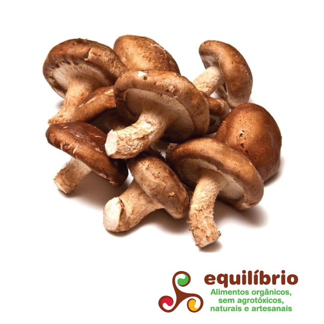 Cogumelo Shitake Orgânico Bandeja - Terra Frutas Orgânicas